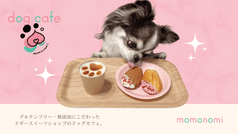 ドッグカフェ momonomi