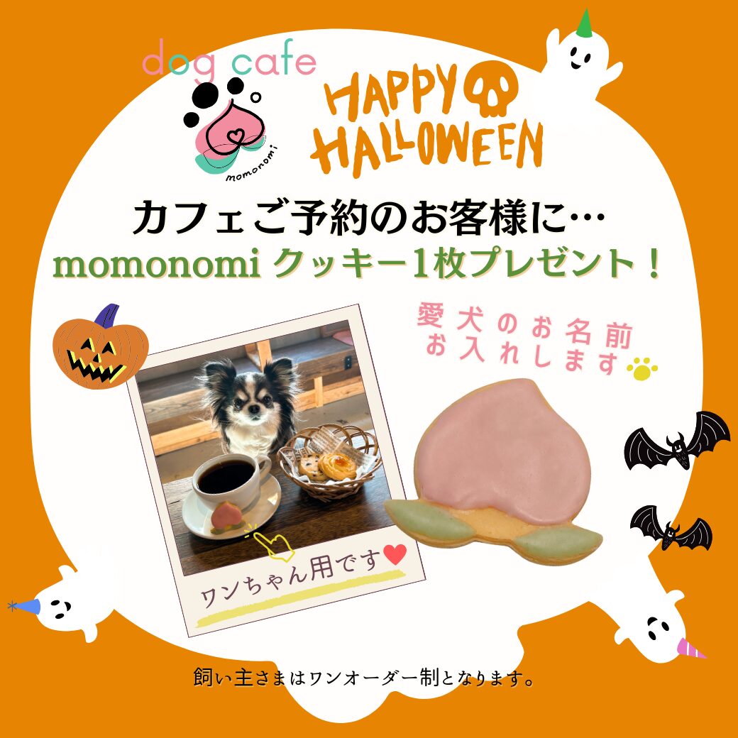ドッグカフェ momonomi