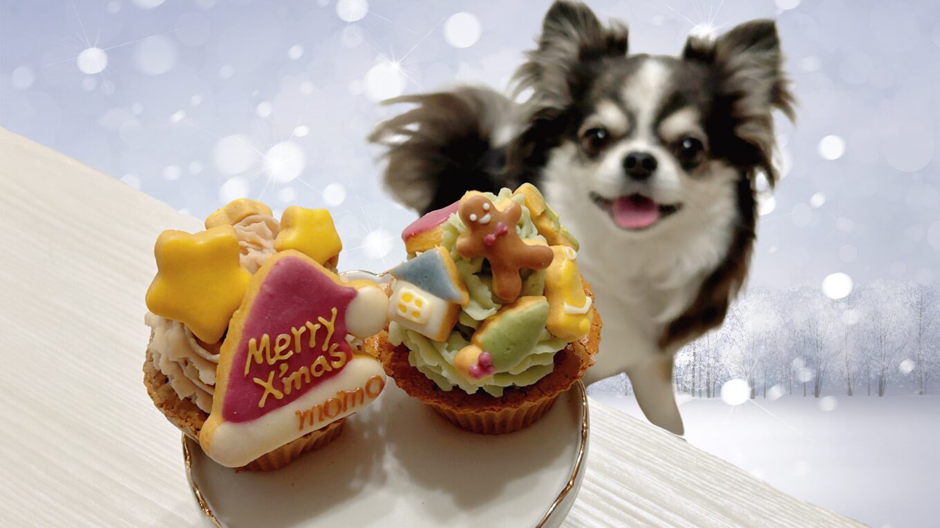 モモノミ 犬 クリスマス