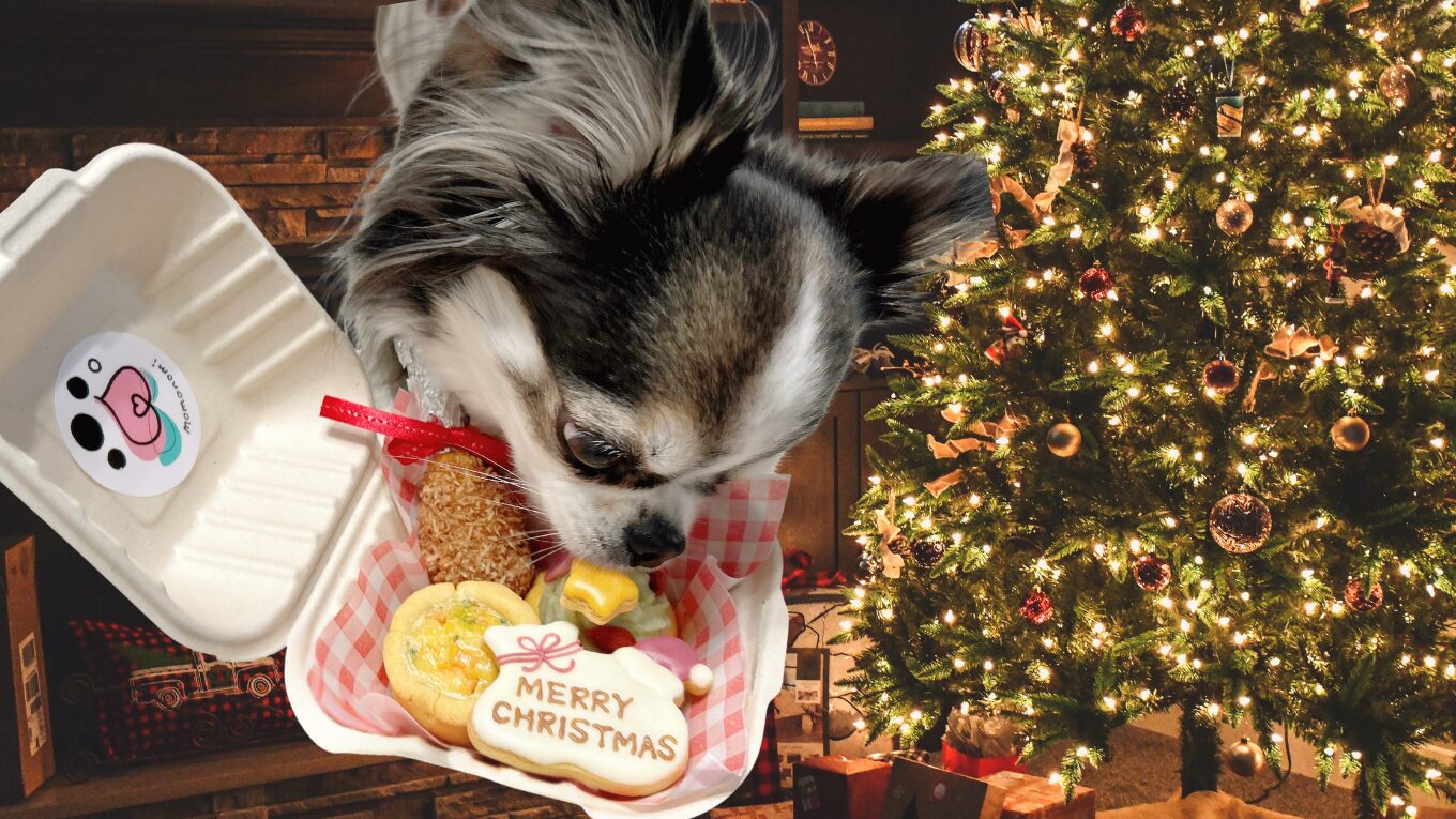 モモノミ 犬 クリスマス