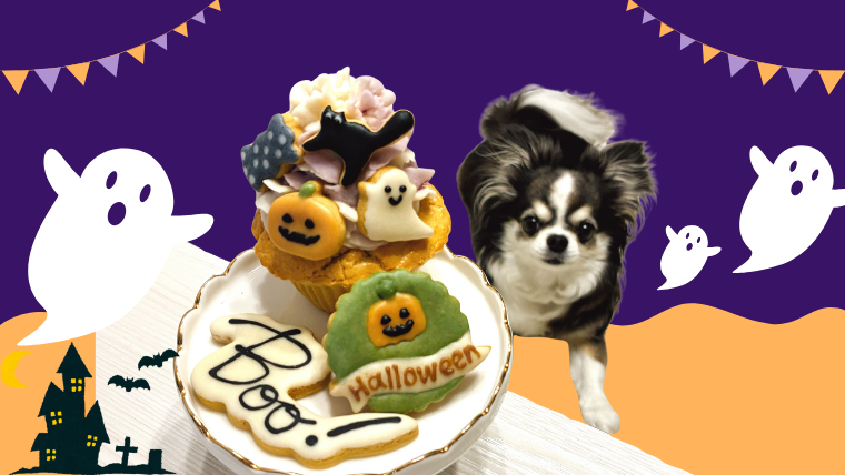 momonomi 犬 ハロウィン